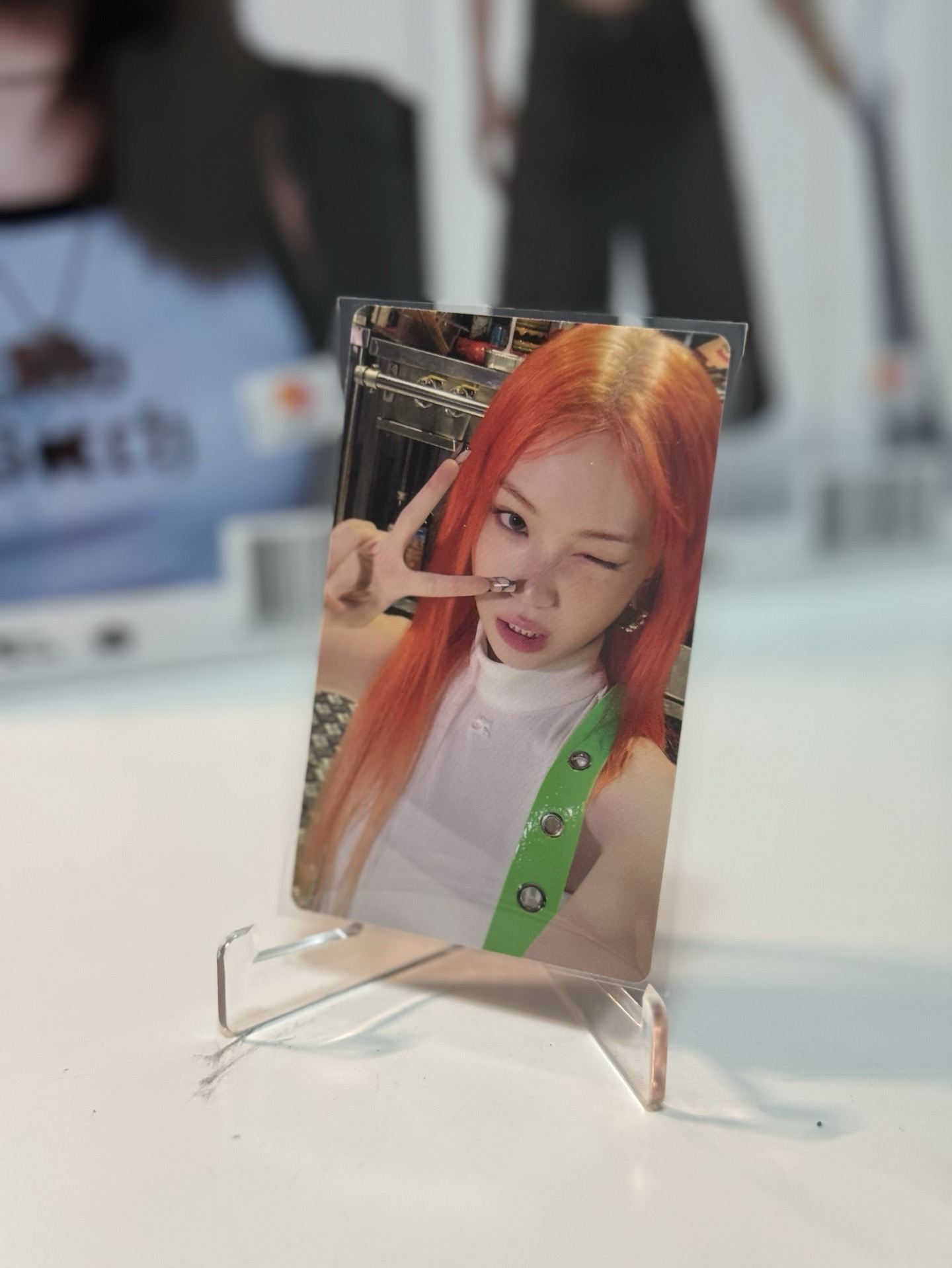 🌟現貨🌟WVS預售采+同造型磁鐵