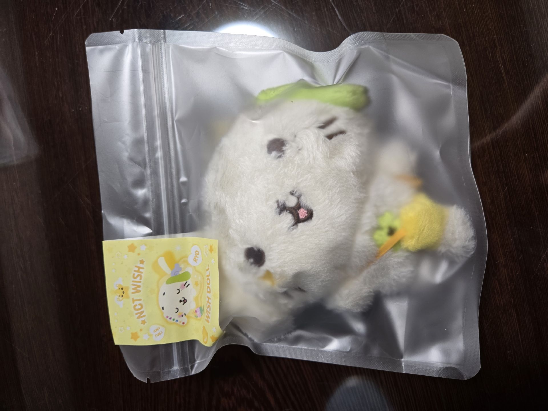 遼小卡+日巡隨機卡套+Ronron