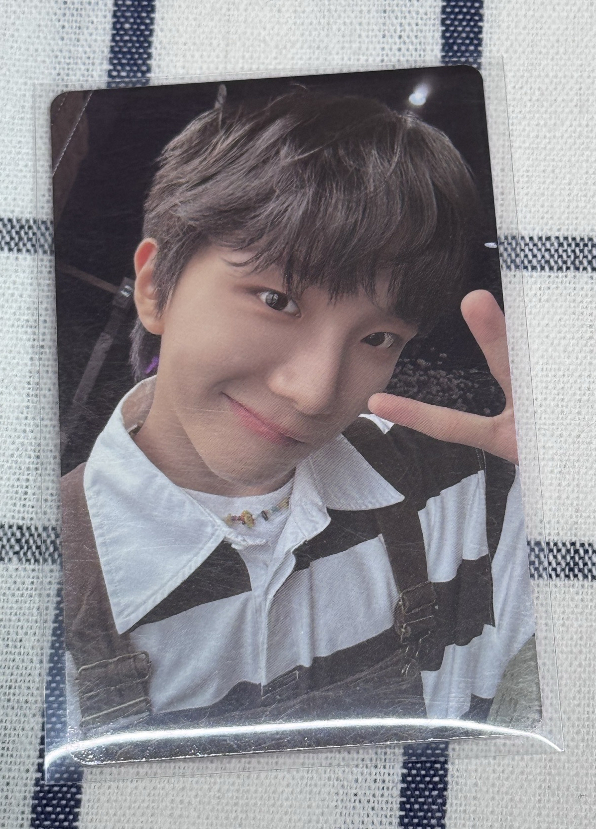 ❄️19.99 wvs直播卡 雲鶴