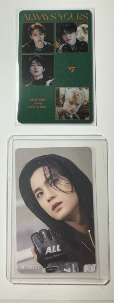 SEVENTEEN  迷10 迷11 日專 JEONGHAN JOSHUA JUN MINGYU 特典 小卡 集章卡