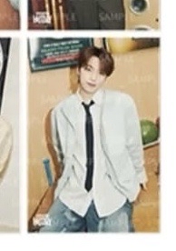 現貨💎SEVENTEEN Holiday Dino 布海報