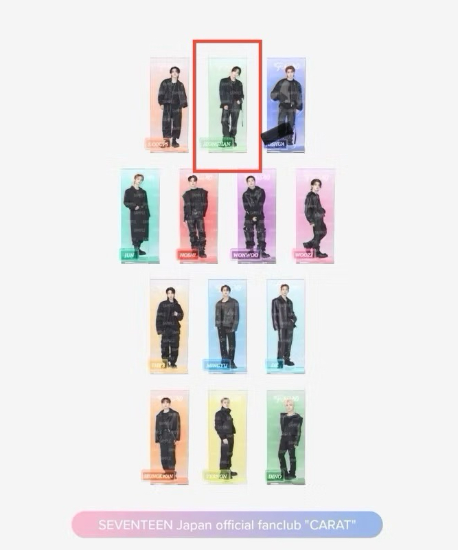 SEVENTEEN FOLLOW TO JAPAN 演唱會 周邊 (卡夾 人像扇子 立牌 掛畫)