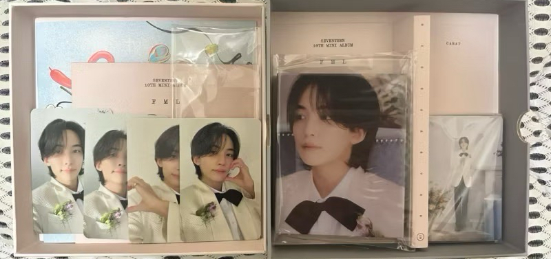 SEVENTEEN 迷十 FML 淨漢 JEONGHAN 特典 小卡 手機墊片 克拉盤全專