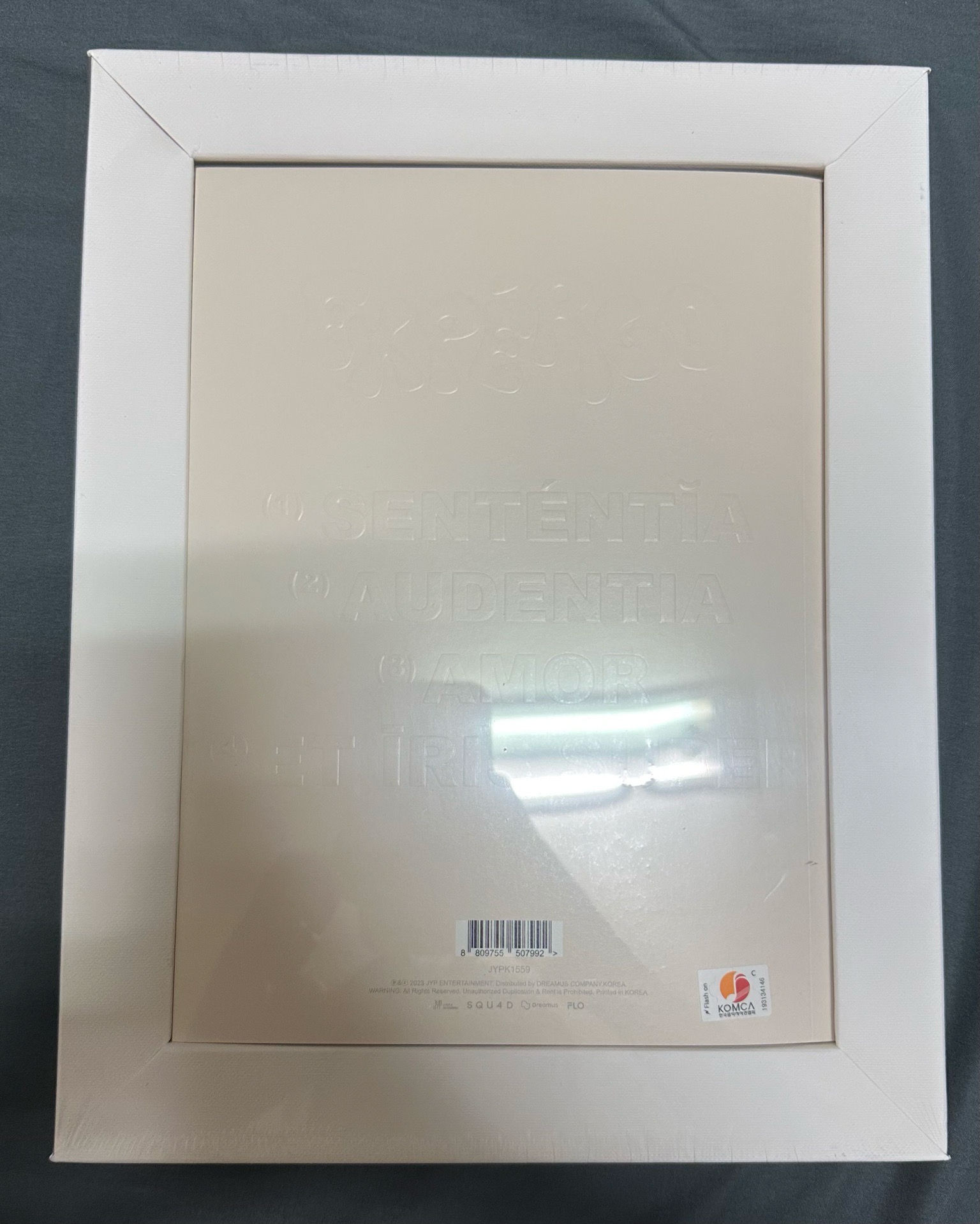 SULLYOON未拆油畫專