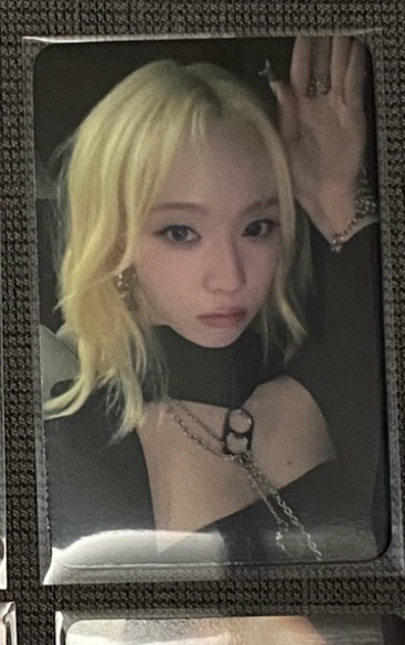 Winter 中背星河預售D