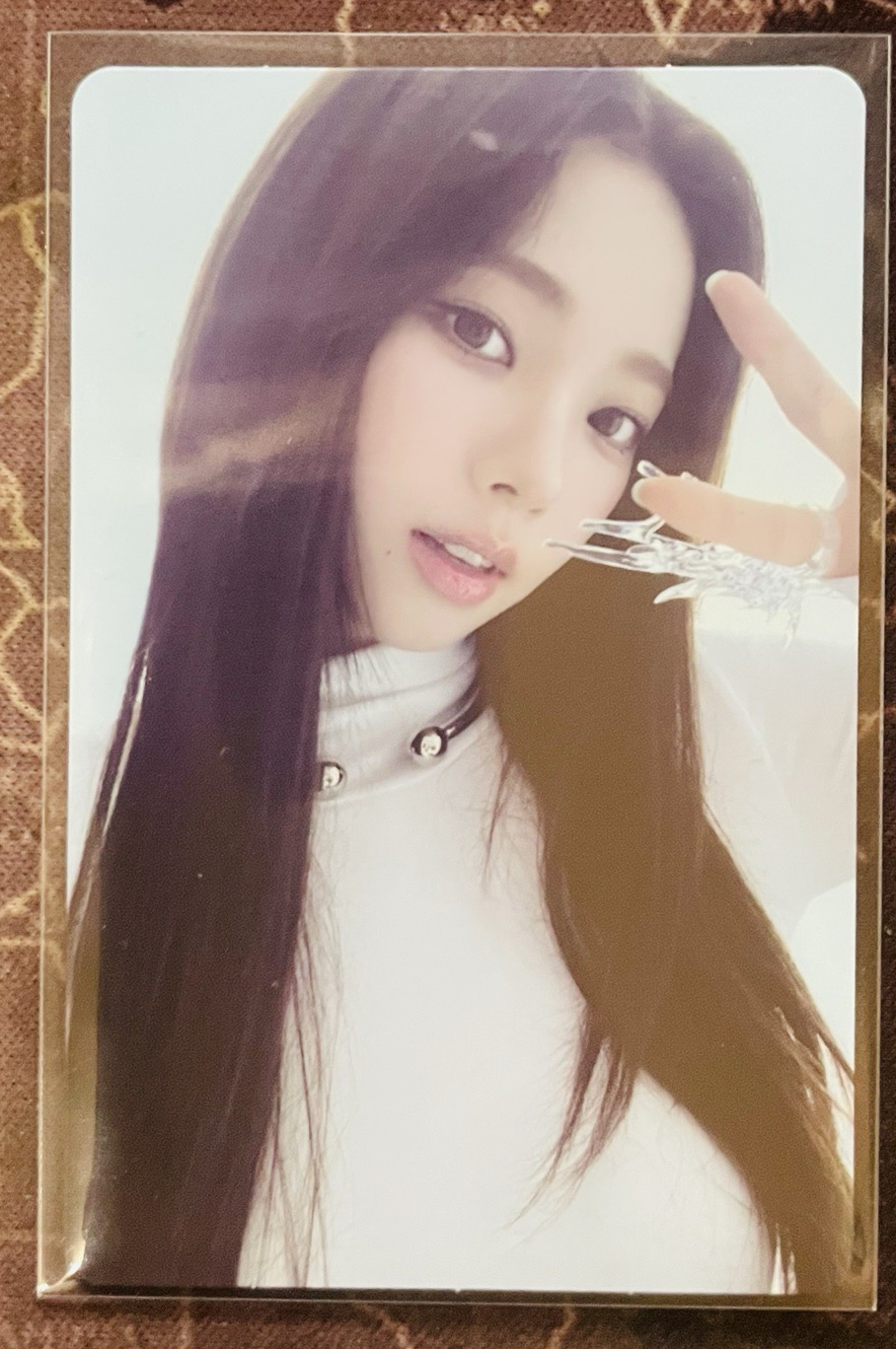 三巡隨機卡-柚(送演唱會紙花吊飾)