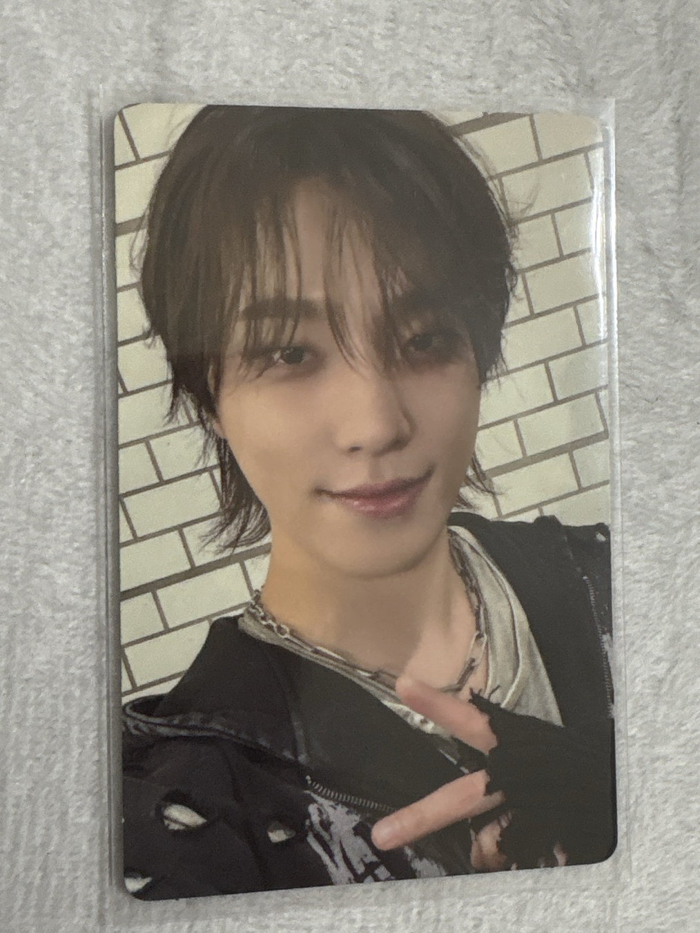 正規五 專輯卡（ya燦）