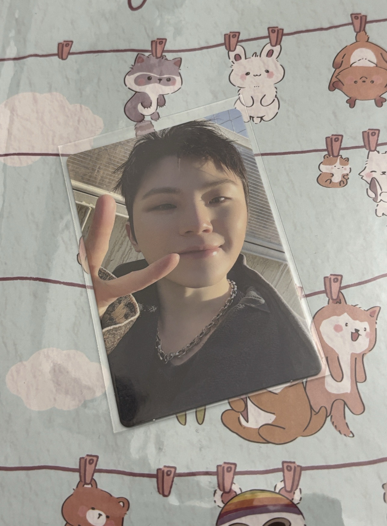 🤍正五 new escape ver.專卡 勳