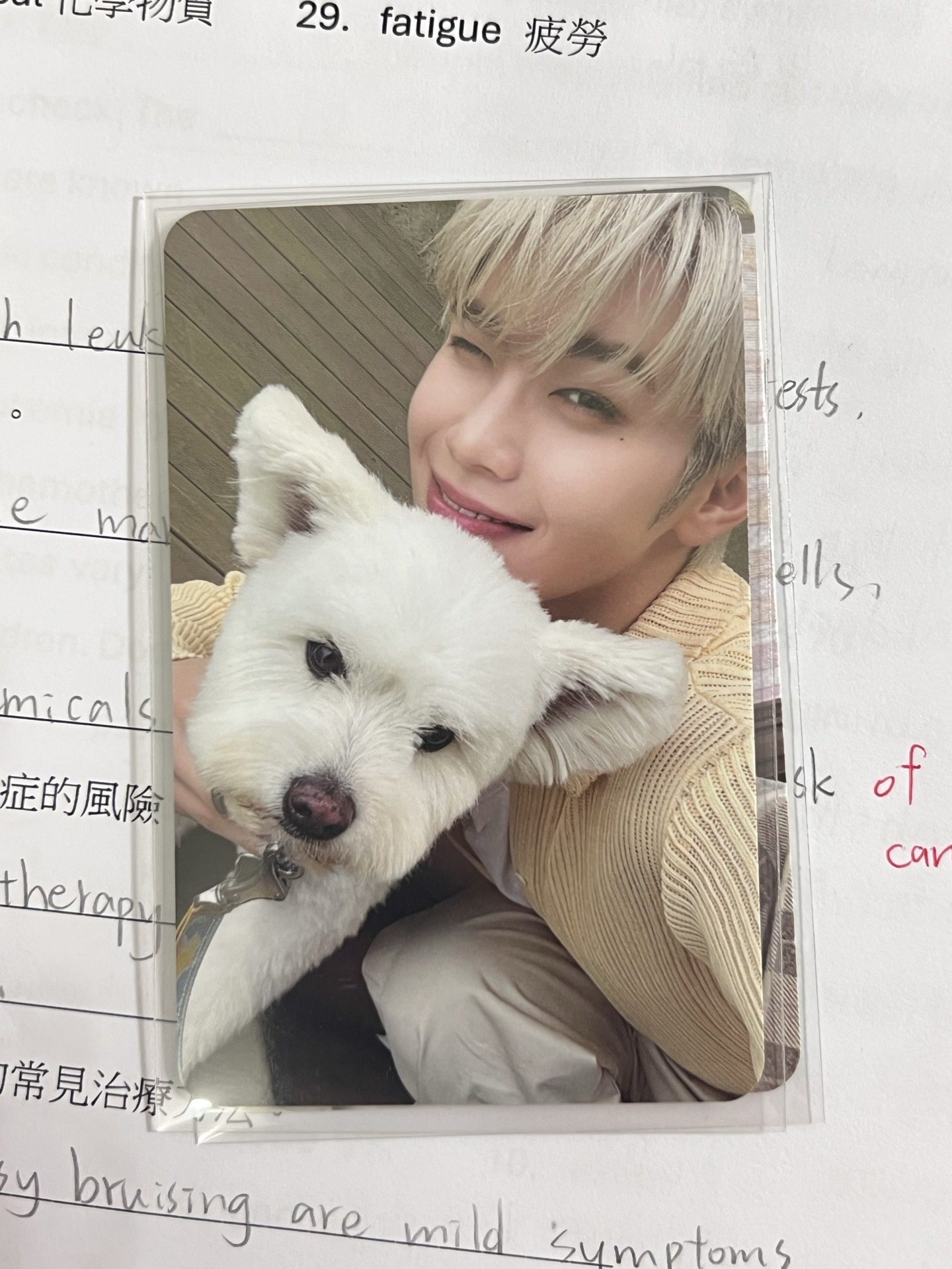 金泰來 正規一 團封狗狗卡