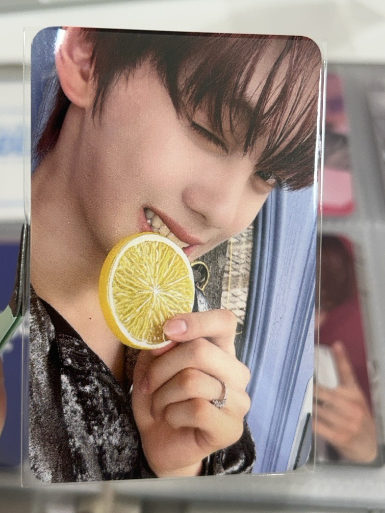 ZB1金奎彬 泡泡糖 七夕玫瑰 檸檬