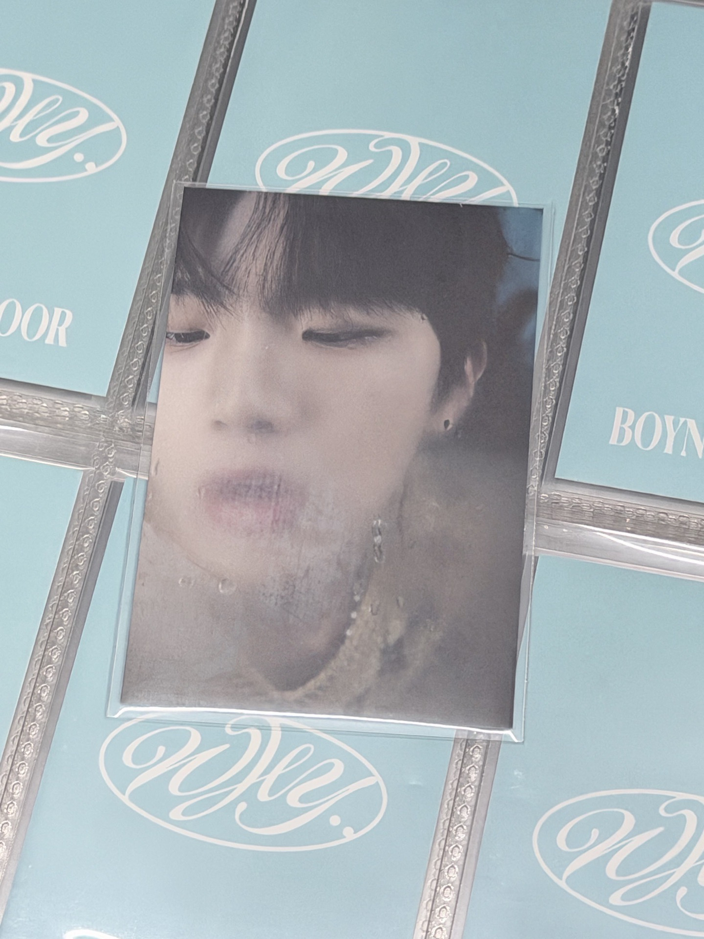 WHY 預售特典 雲鶴