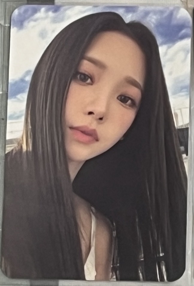 二週年髮夾柚組