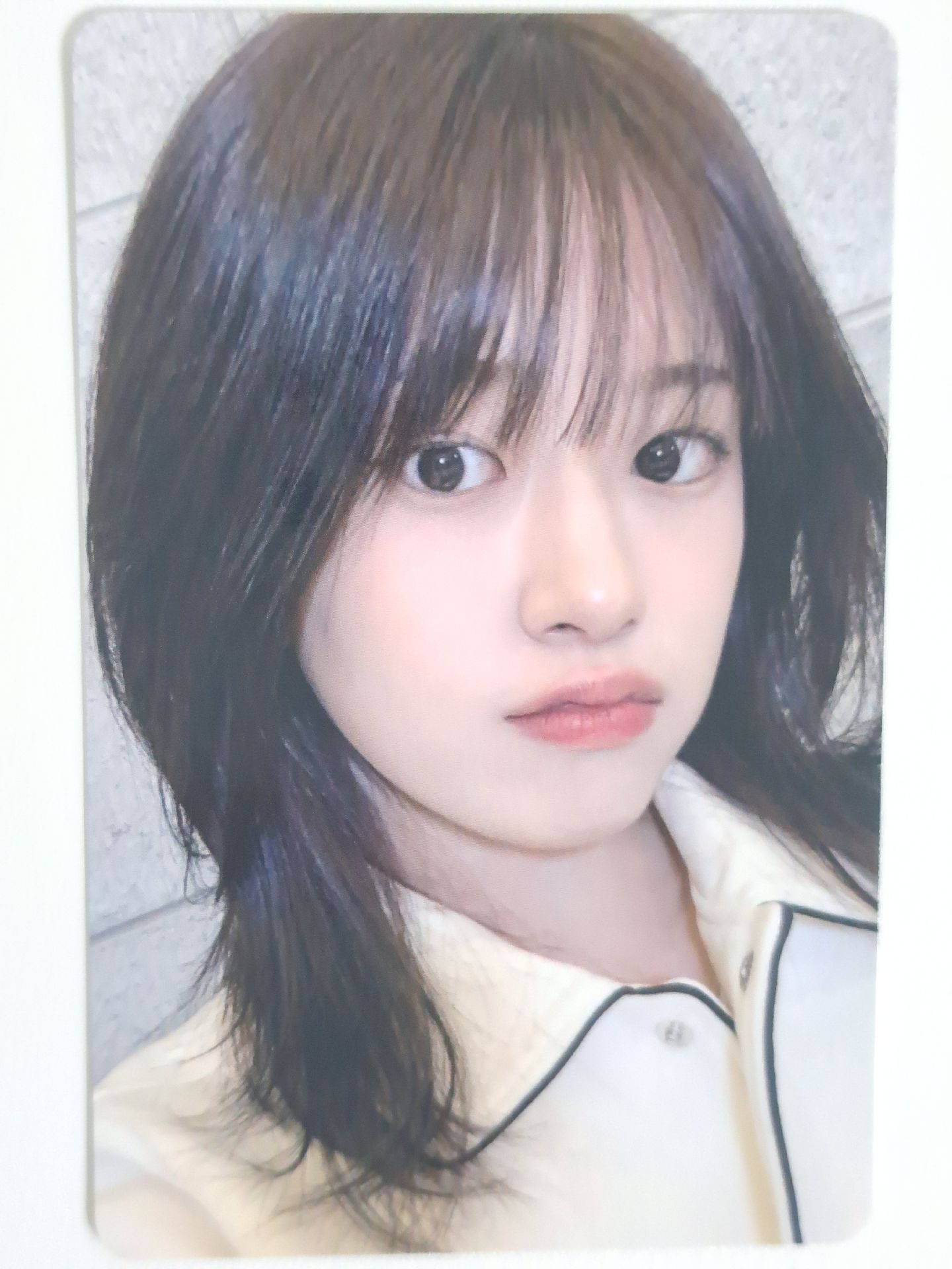 25’ FC IVE SCOUT 0426 日本場限安