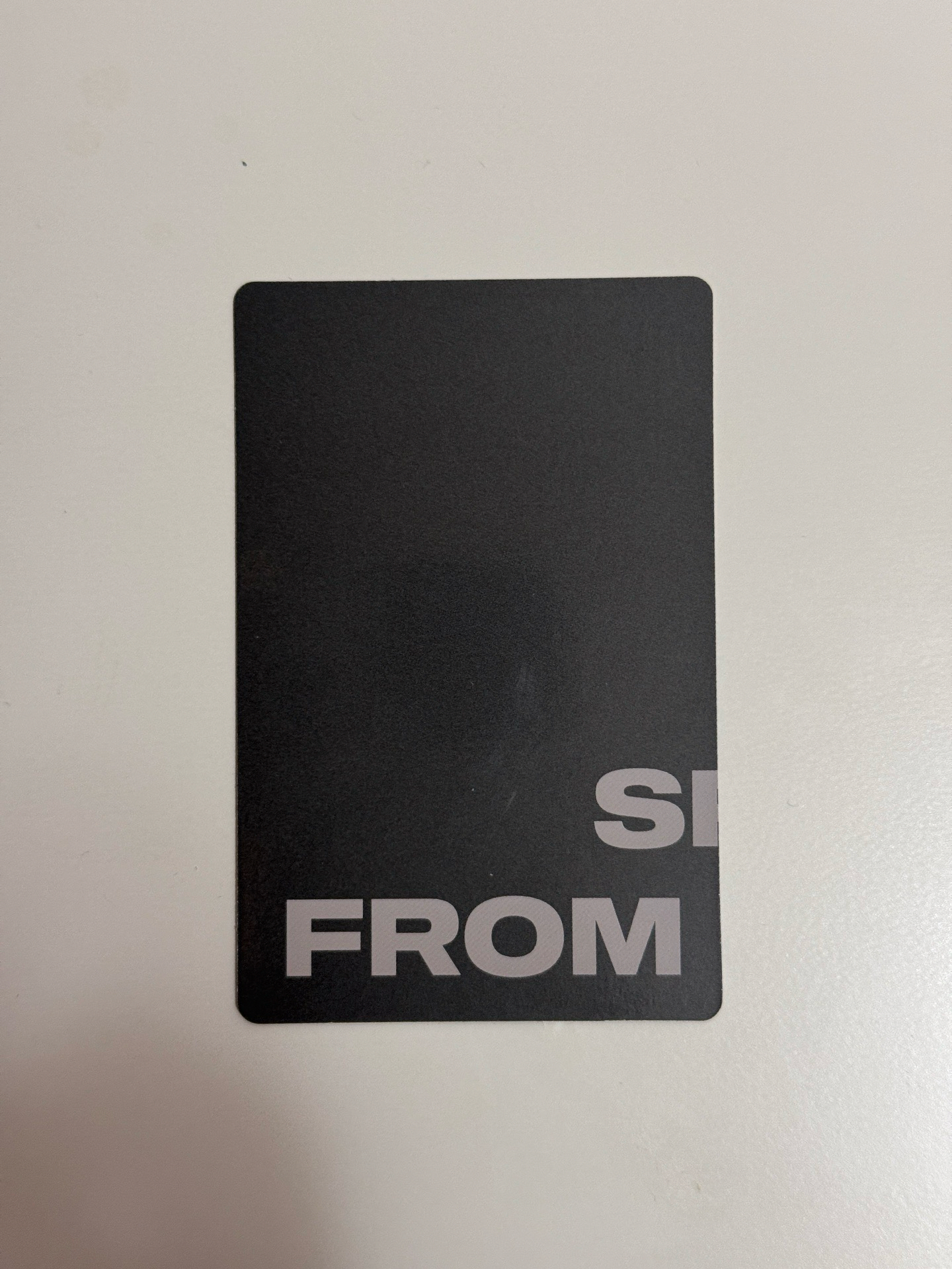 弘中 專卡 毛茸茸松鼠🐿️