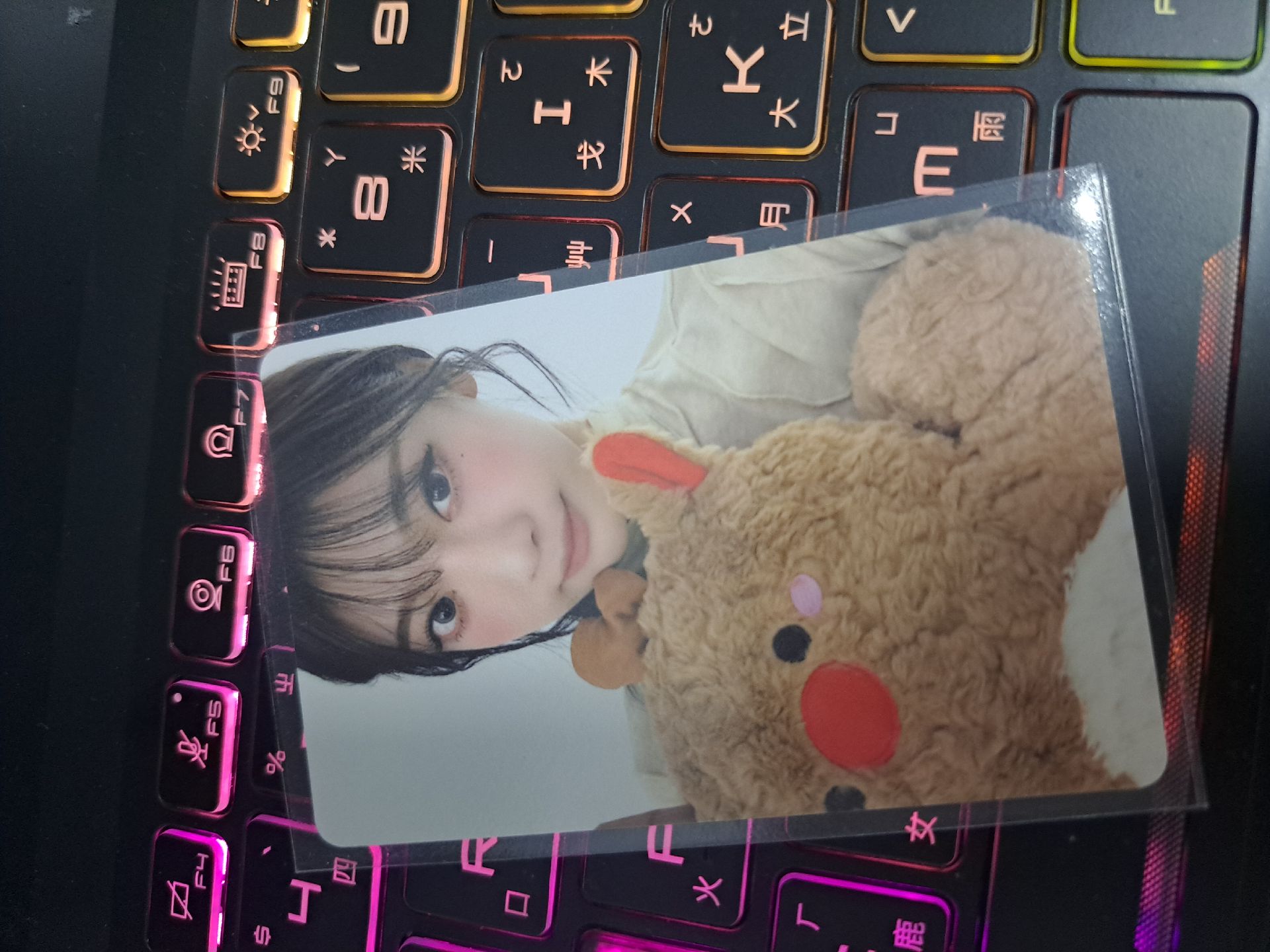 whiplash kms 聖誕簽售寧