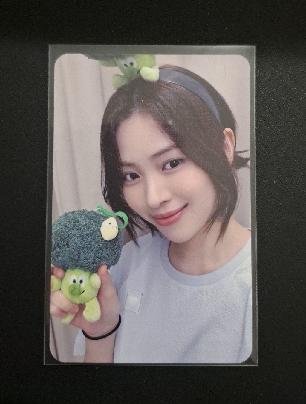 ms 台北簽售 花椰菜 留真