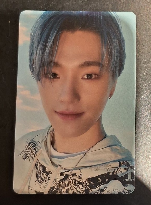 燦 2022 D社卡冊卡