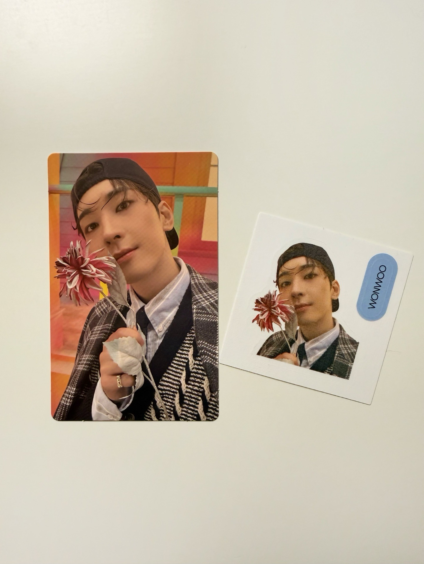 精選專｜wvs克拉盤 預售特典 含貼紙 圓佑Wonwoo 