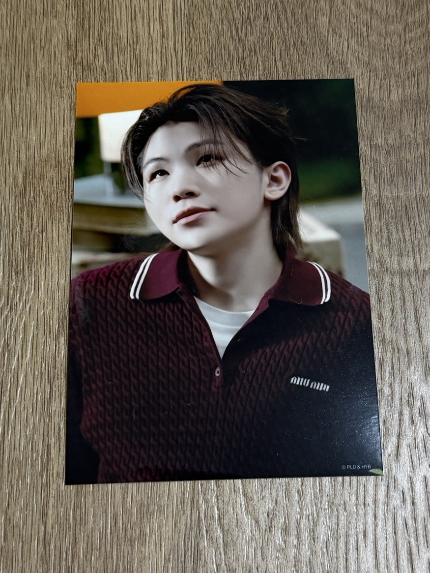 woozi 1