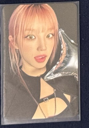 2024 世巡演唱會 隨機卡 琦1