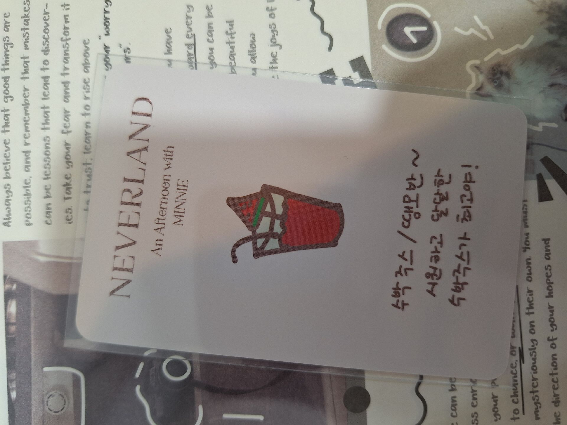 會員禮妮
