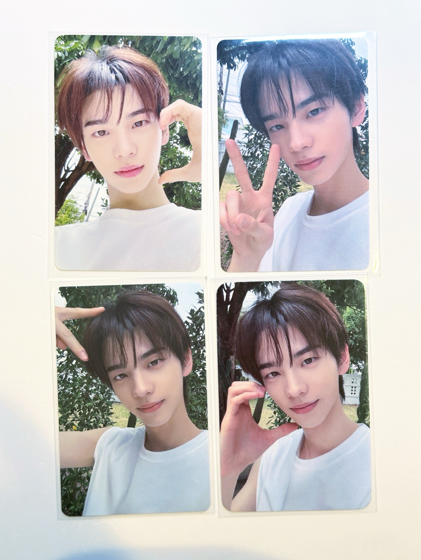 TWS 申惟 迷二 白衣少年