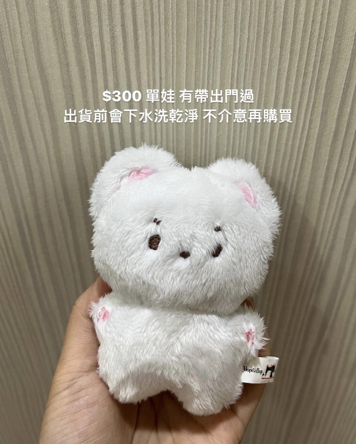 BOYNEXTDOOR 金桐儇 娃娃 312