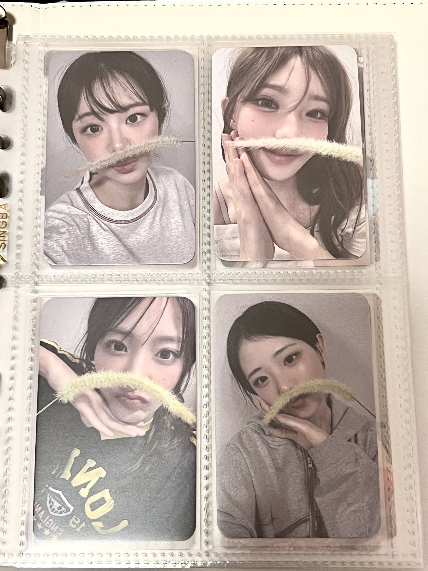 Qwer dmm鼠尾草特典一套