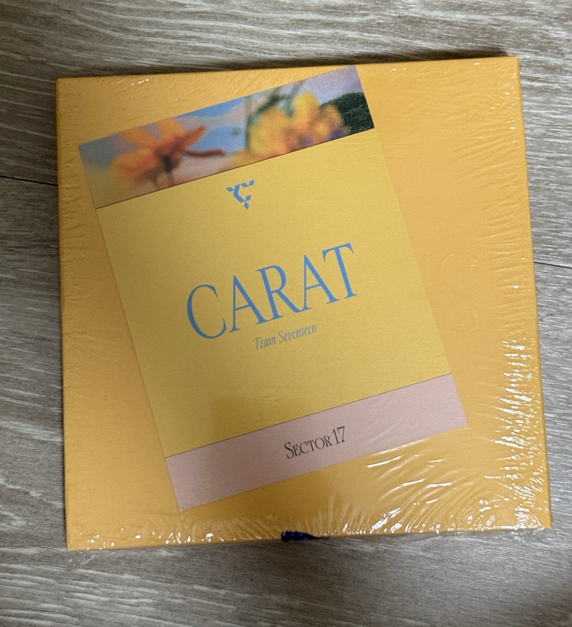 正四後續 空專（可當綁）