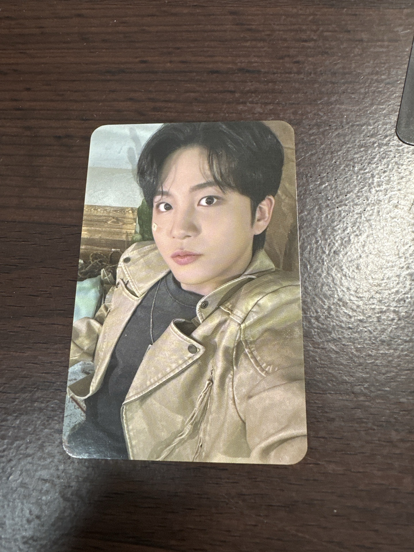 ANITEEZ IN TREASURE 隨機卡 