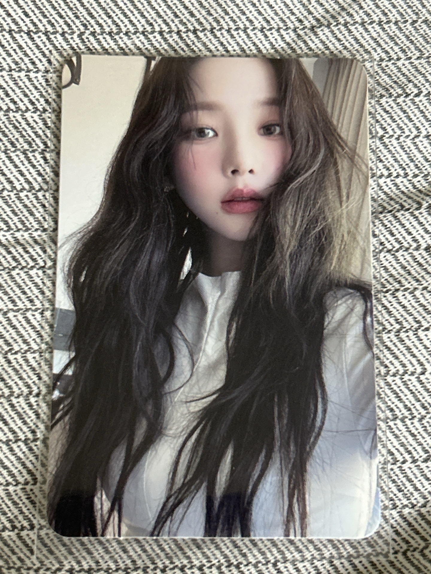 MY WORLD 專輯卡 intro柚 i版柚