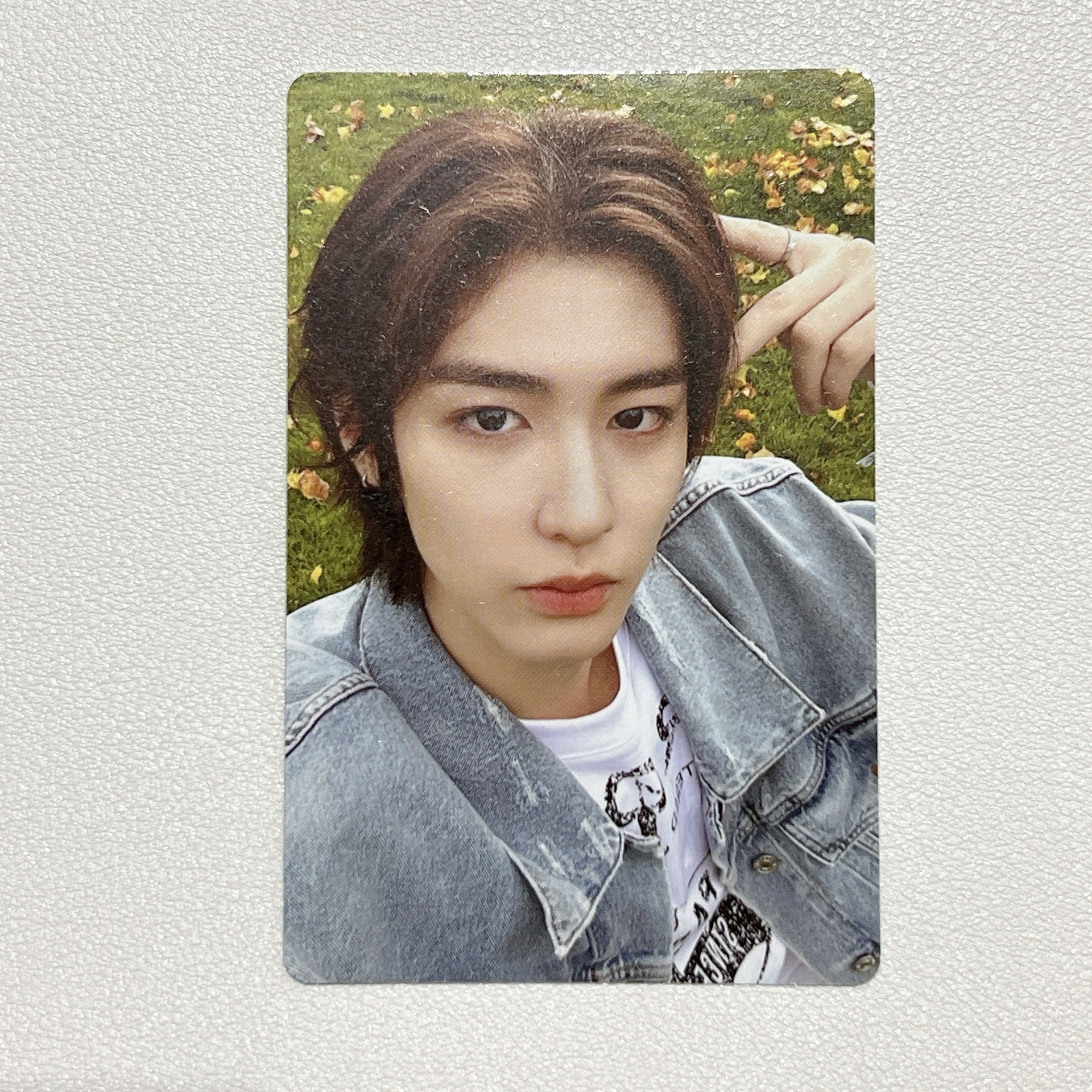 HOW 專卡5 金桐儇