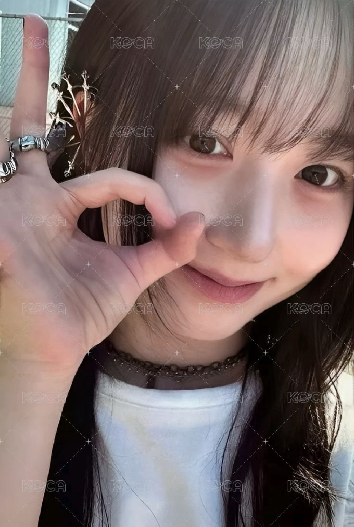 普版專卡嫄