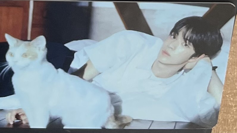 快閃店隨機卡包卡