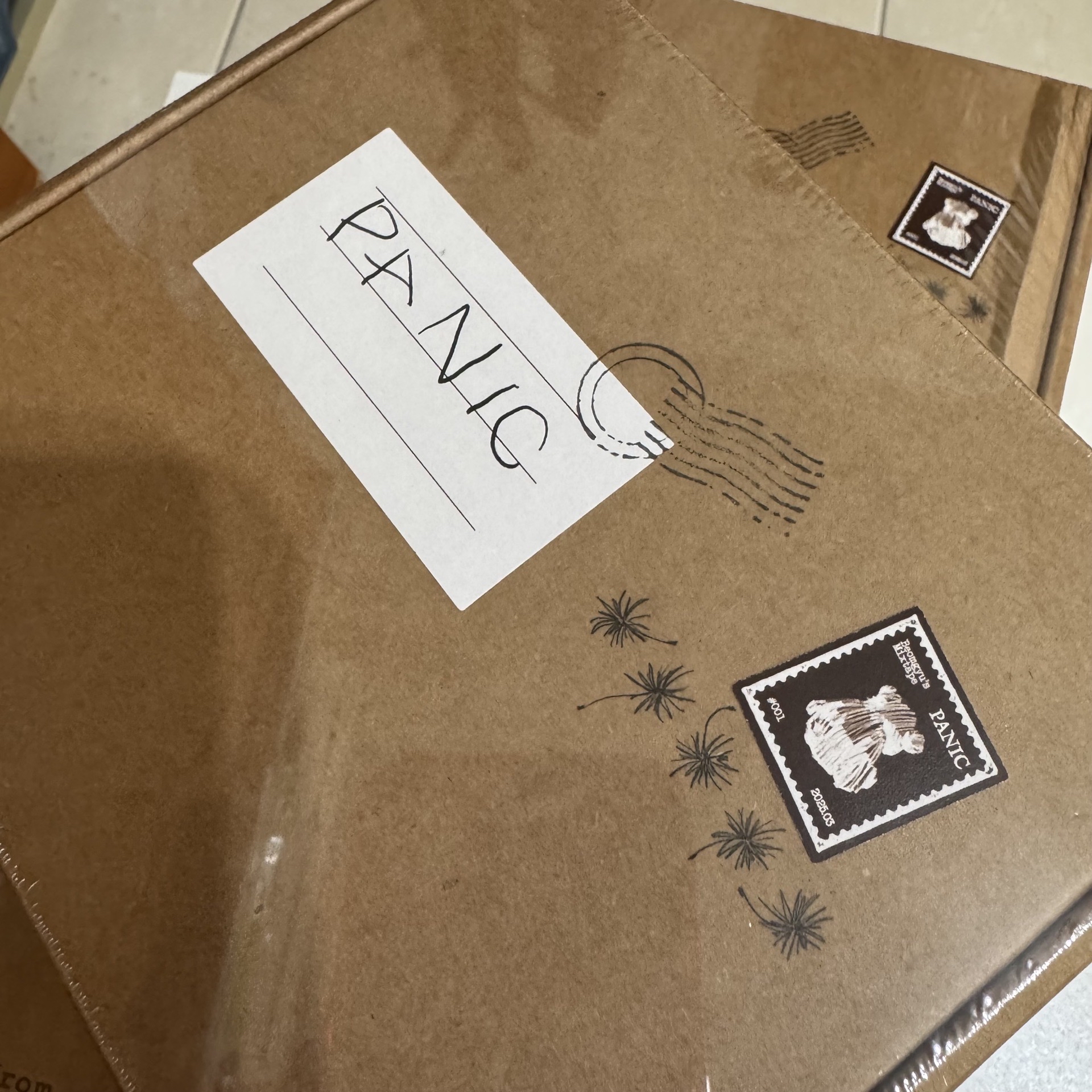 TXT 杋圭 PANIC 未拆專 