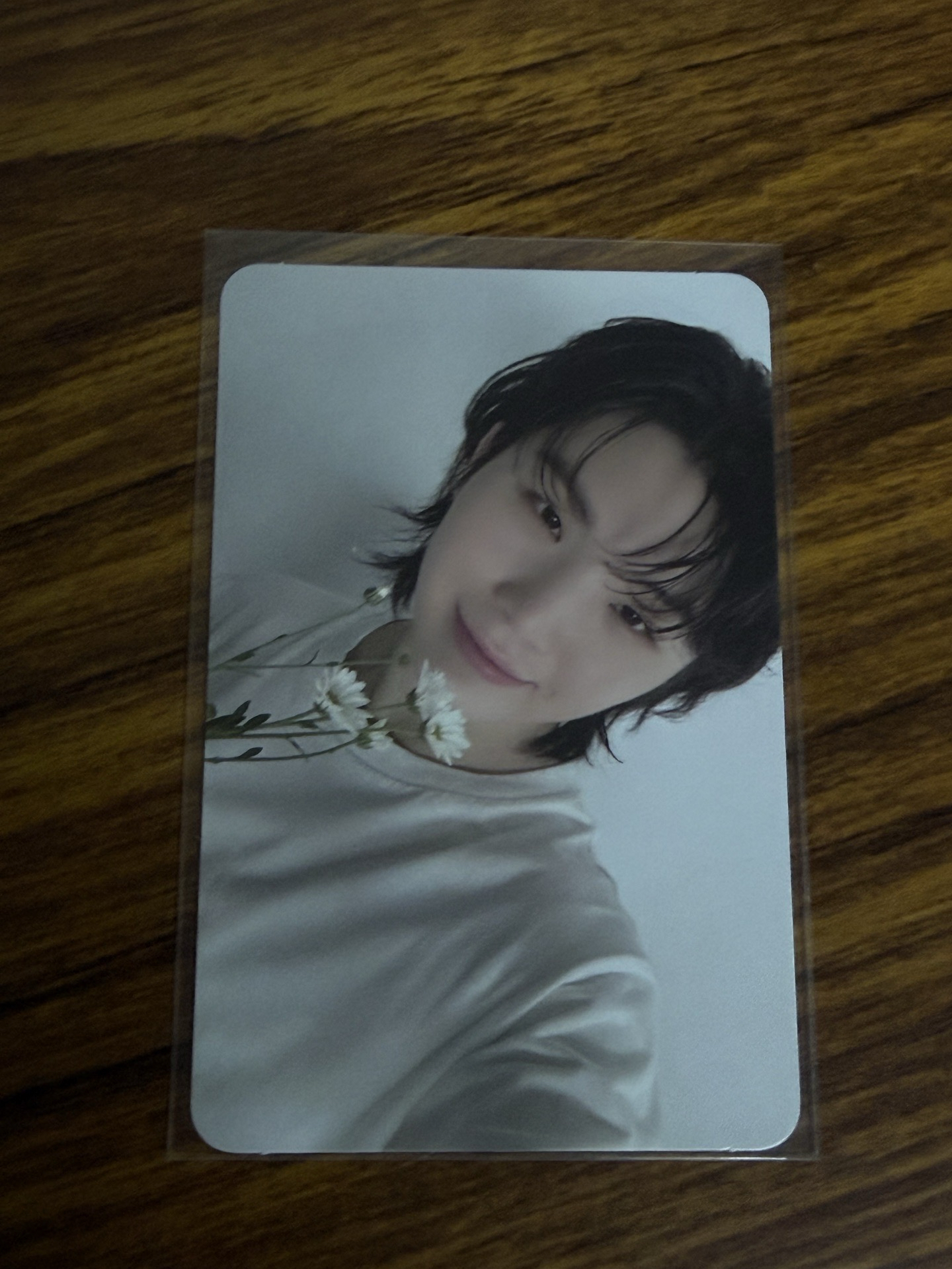 woozi 精選專 親愛盤 克拉盤隨機卡