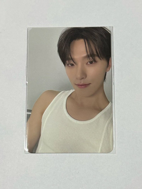 DINO 精選專 專輯卡