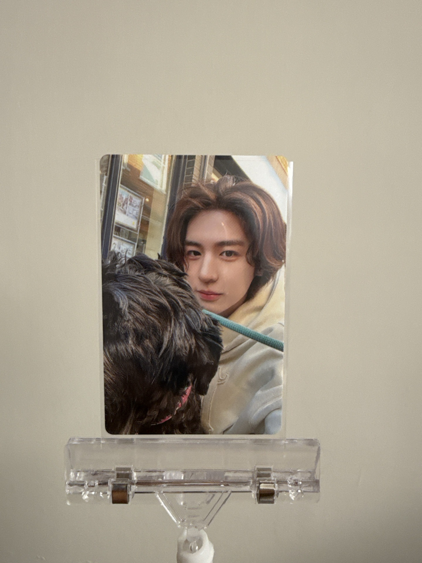 金桐儇 HOW sticker ver. 專輯卡