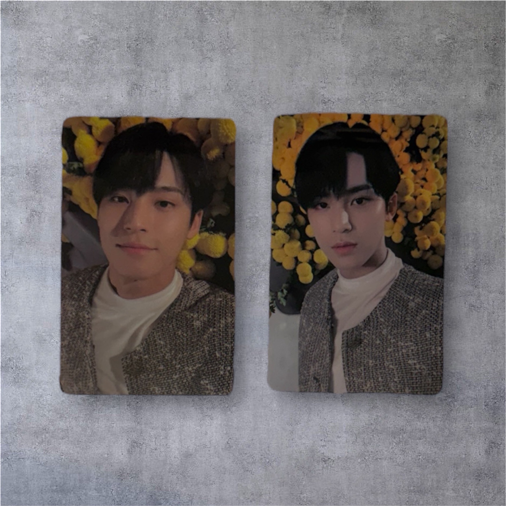 迷8 SW特典 m2u特典 珉奎🩷花牆奎