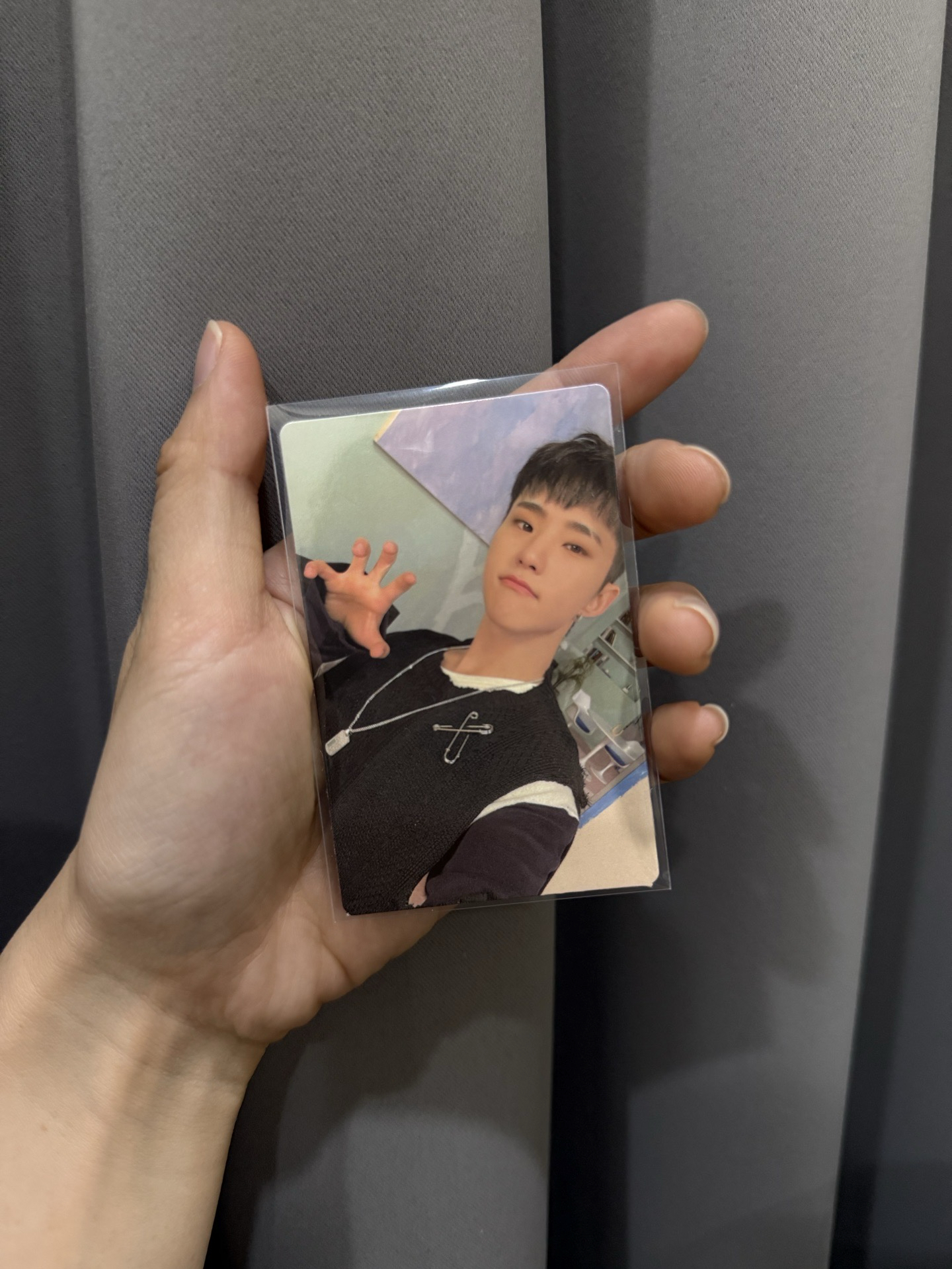 MINI9克拉盤隨機卡-🐯