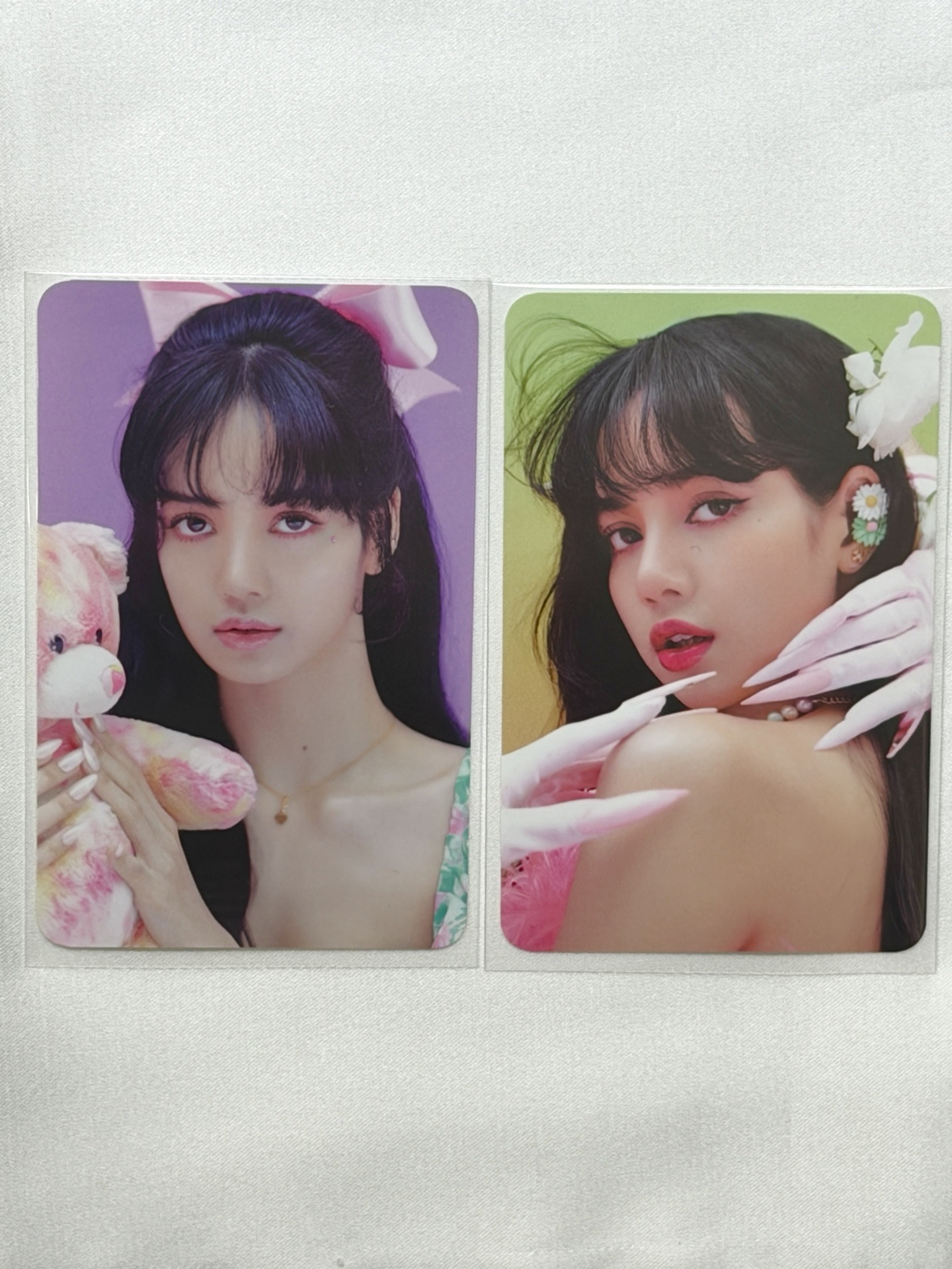 山茶花莎&抱熊莎