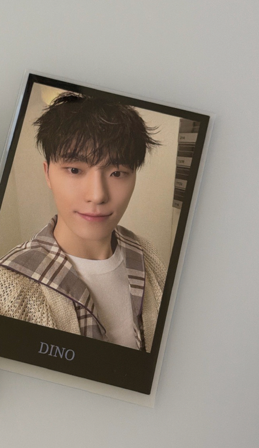 🩵克拉島黑拍立得 Dino