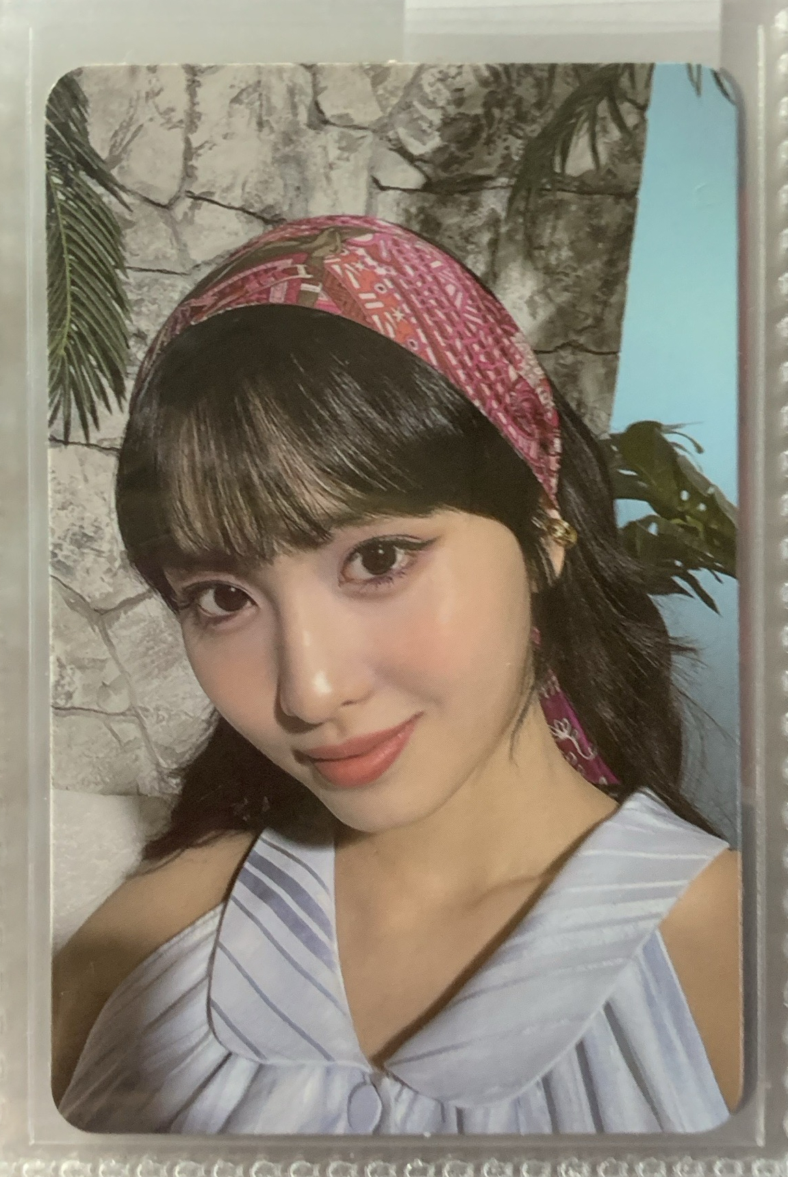 Momo 無酒精專卡 平井桃