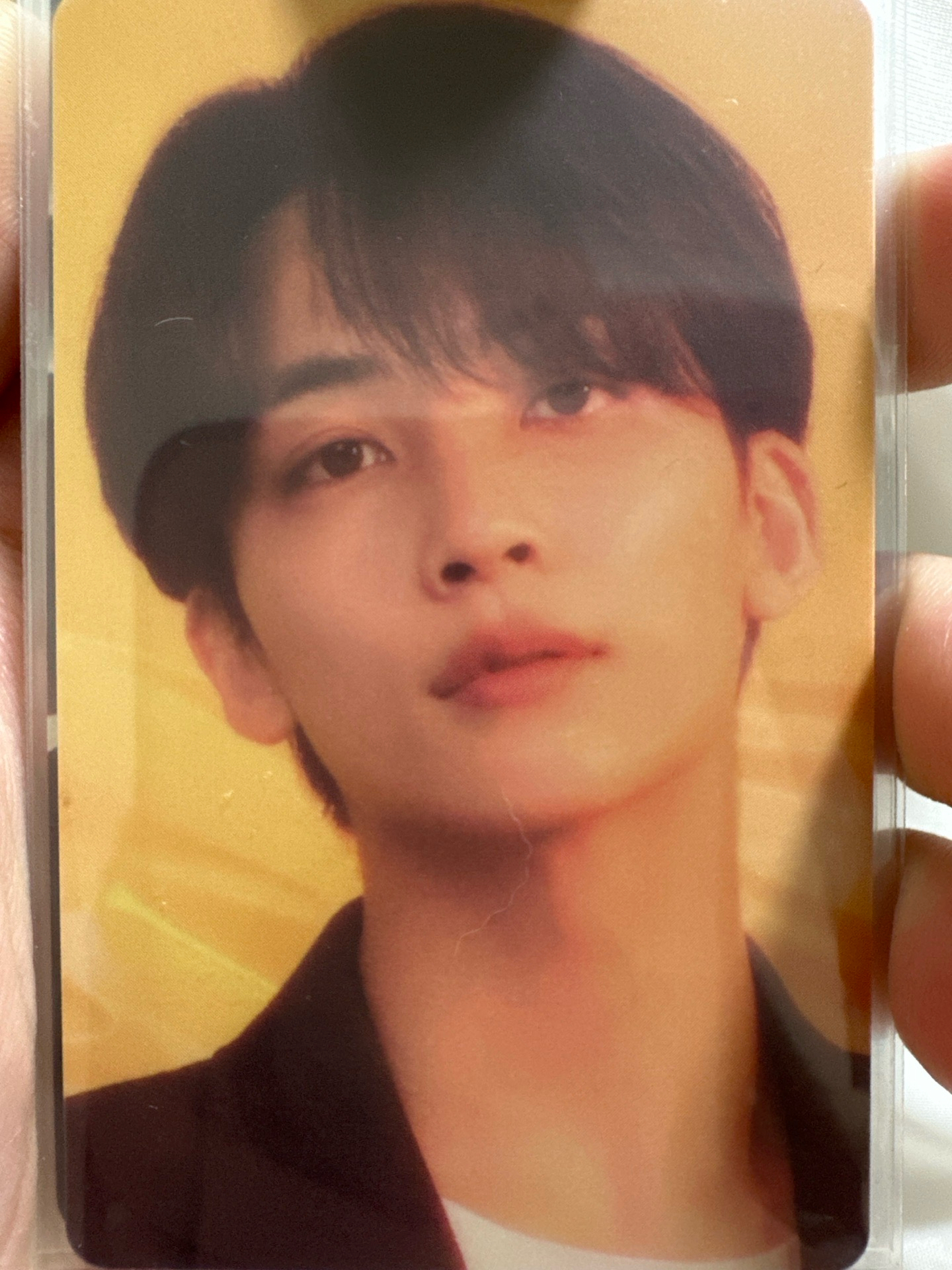 The Daydream 入場卡 淨漢