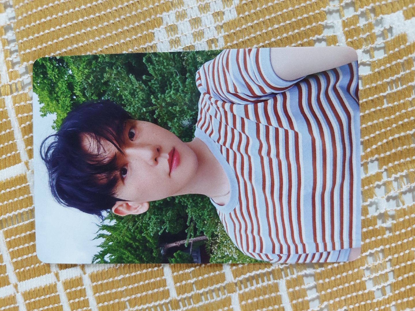 伯賢Hello,World美通W版JC特典卡