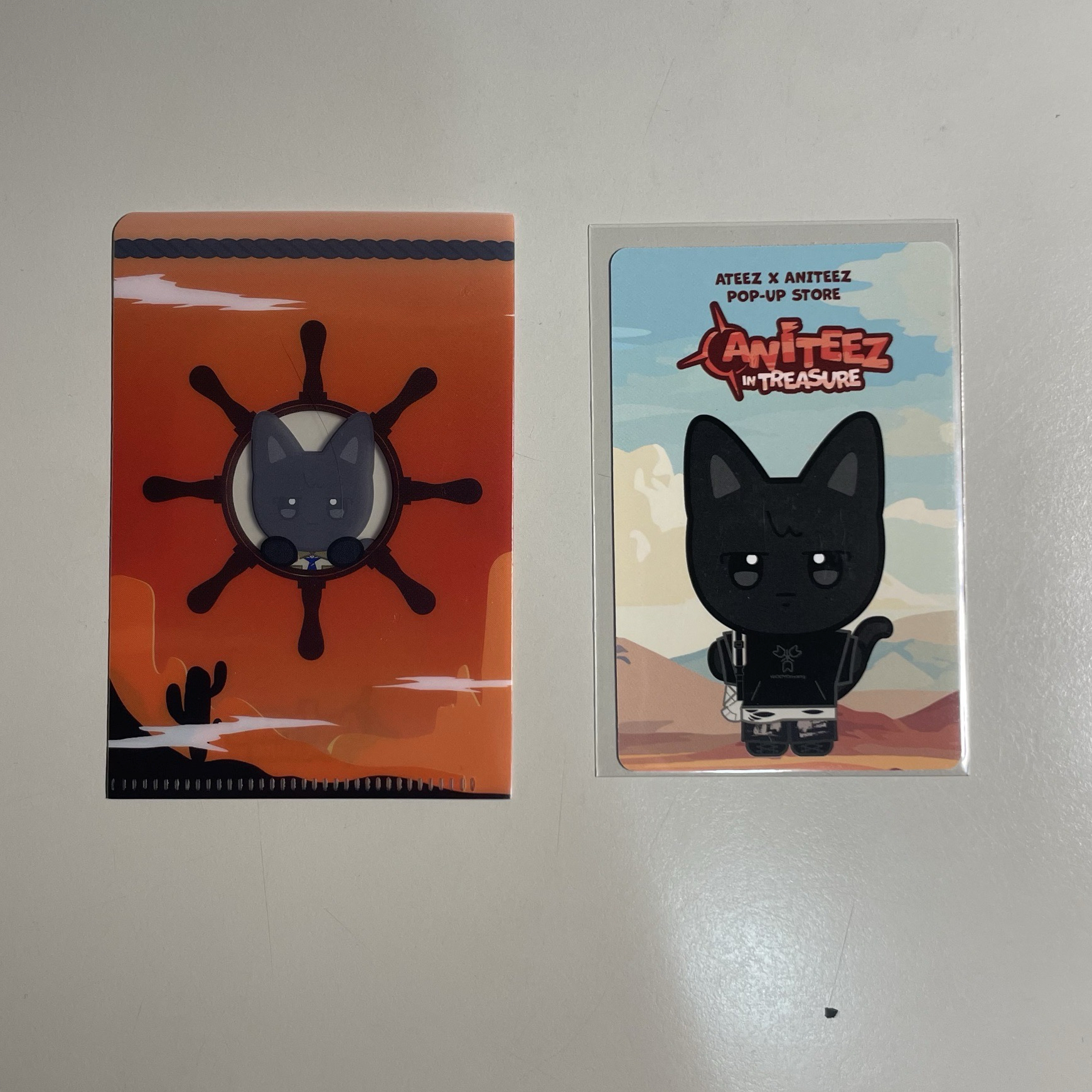 ANITEEZ IN TREASURE 友榮 任務卡