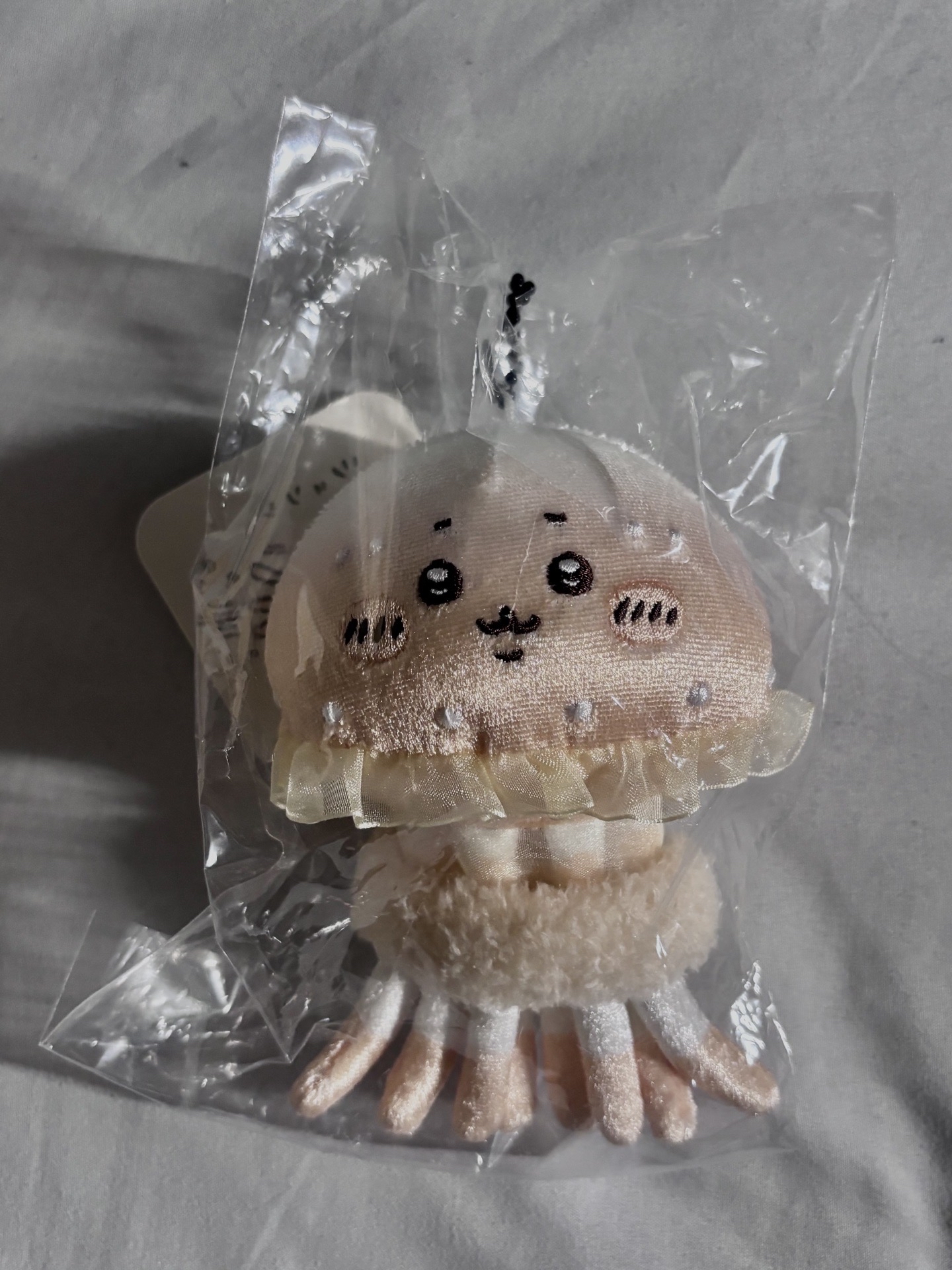 長野水族館 吊娃 