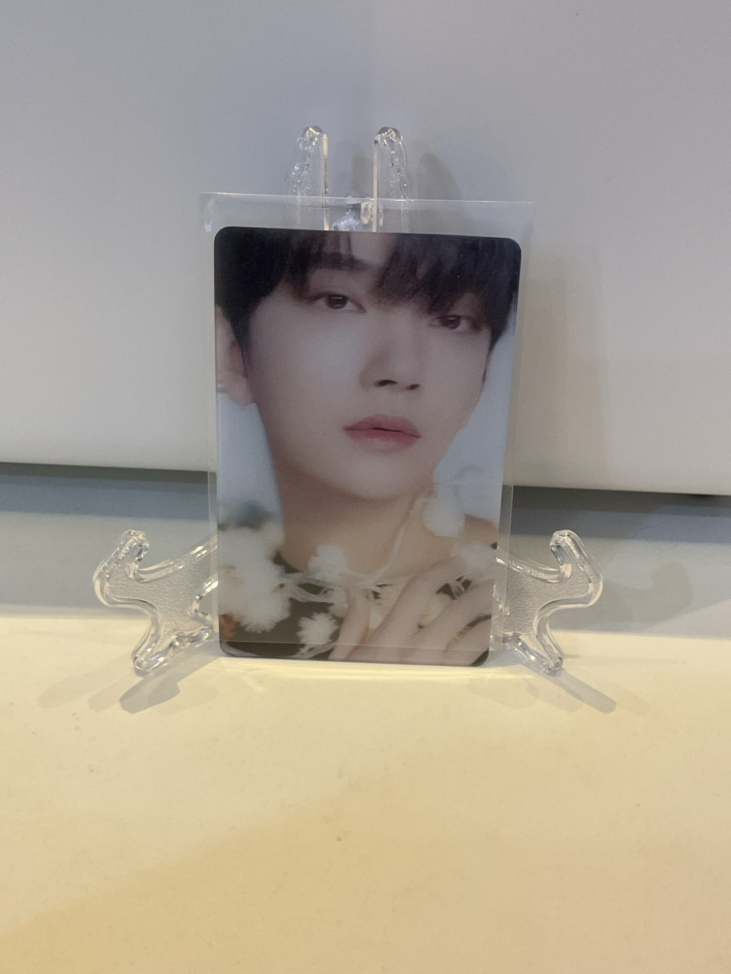 D社特別卡（變化卡材質）