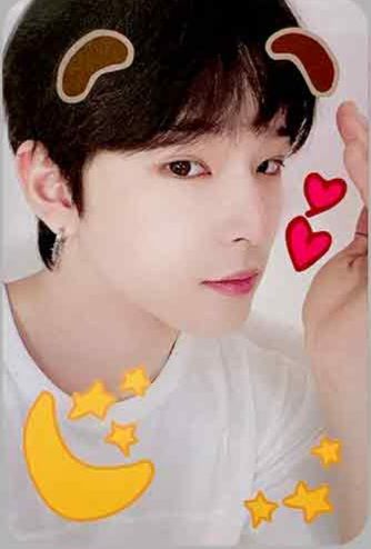 PYGMALION MS 線上 4.0