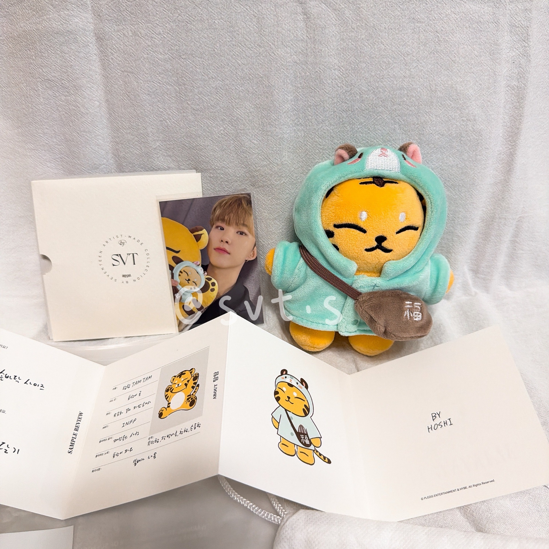 全新 seventeen 成員自製周邊 小眈眈 TAMTAM 權順榮 hoshi 